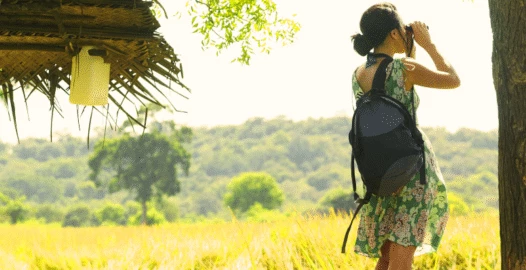Countryside Charm and Coastal Delights