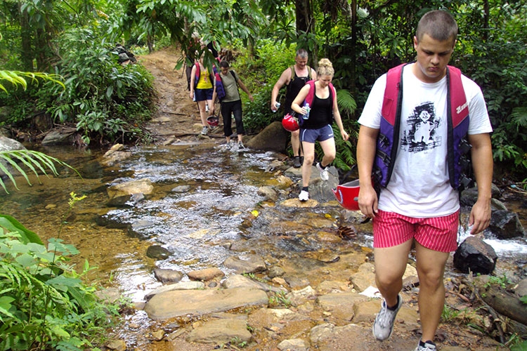 Exploring the Natural Wonders of Kitulgala - Kelani Forest Reserve