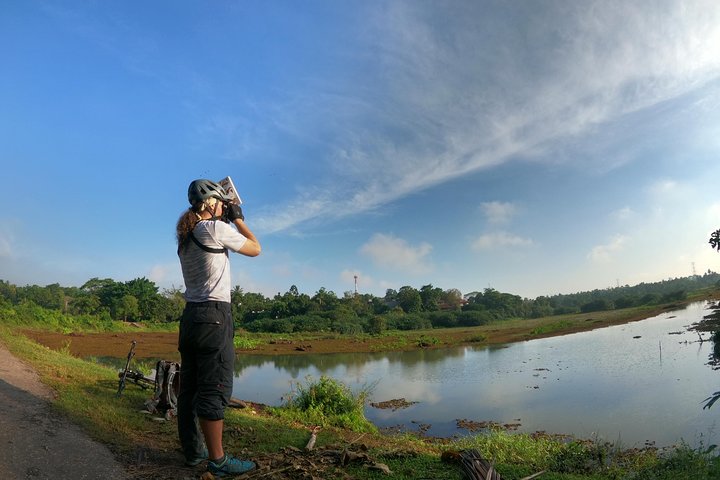 Talangama Wetlands, Colombo