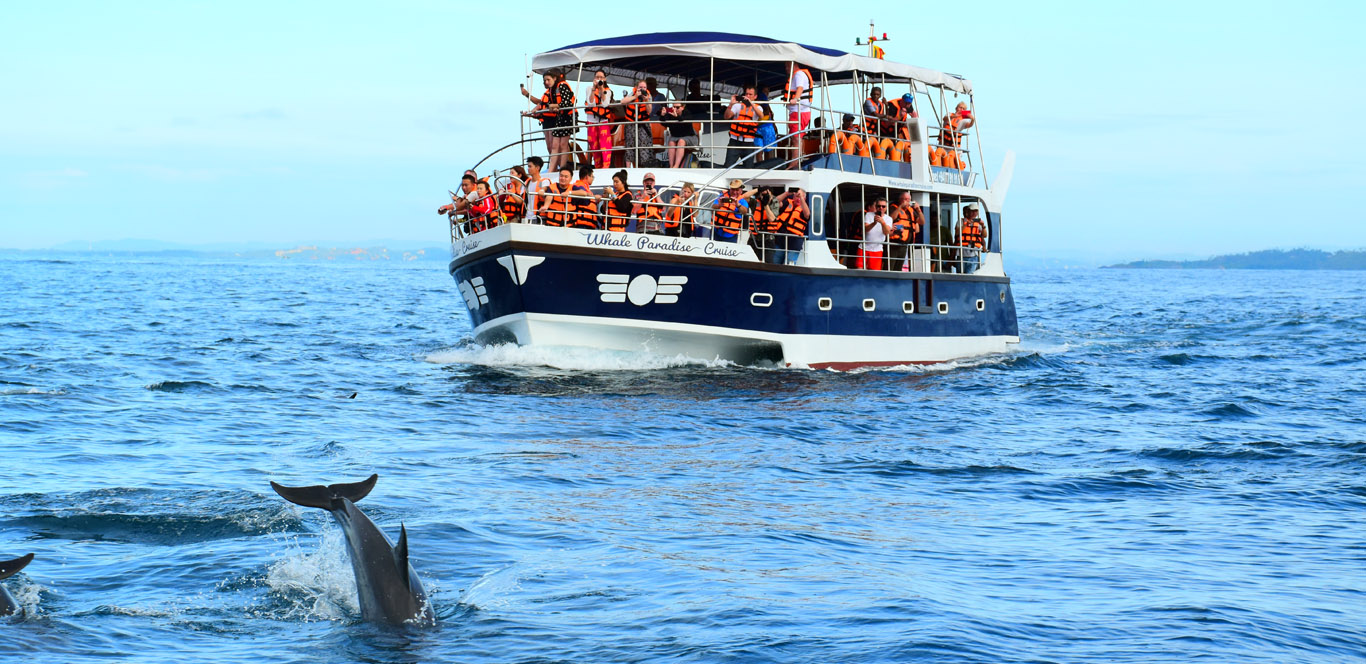 Whale Watching -Mirissa, Kalpitiya