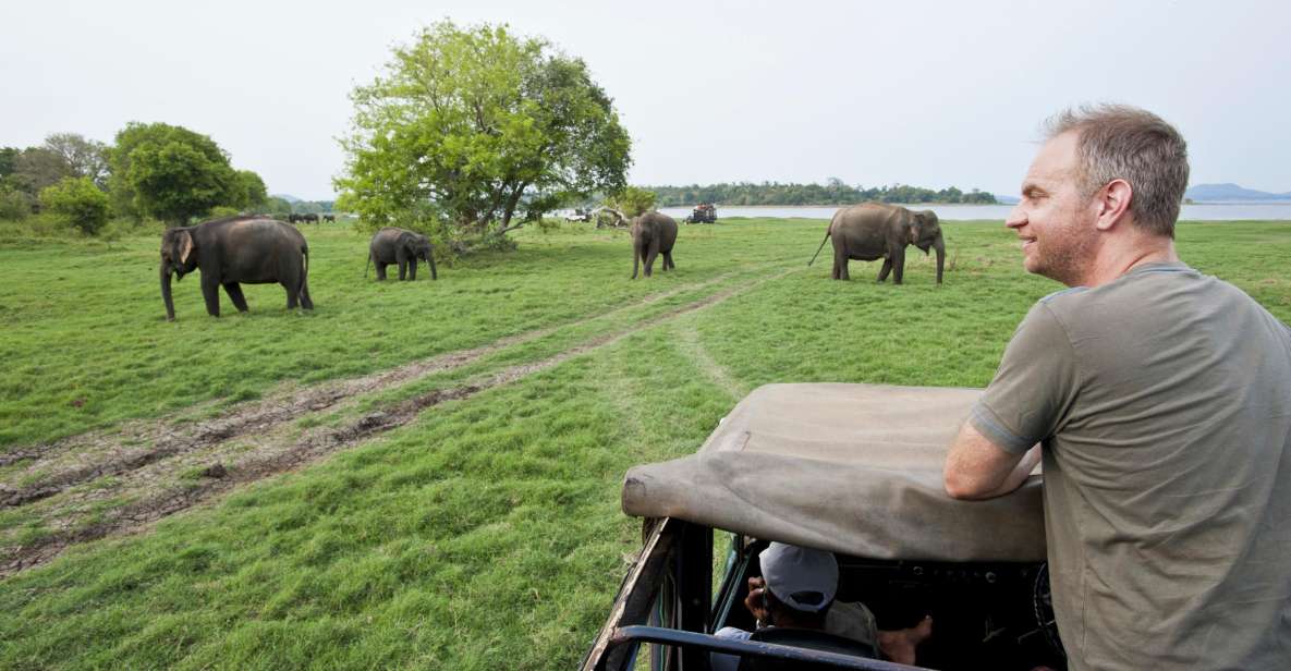 Udawalawe Elephant Transit Home