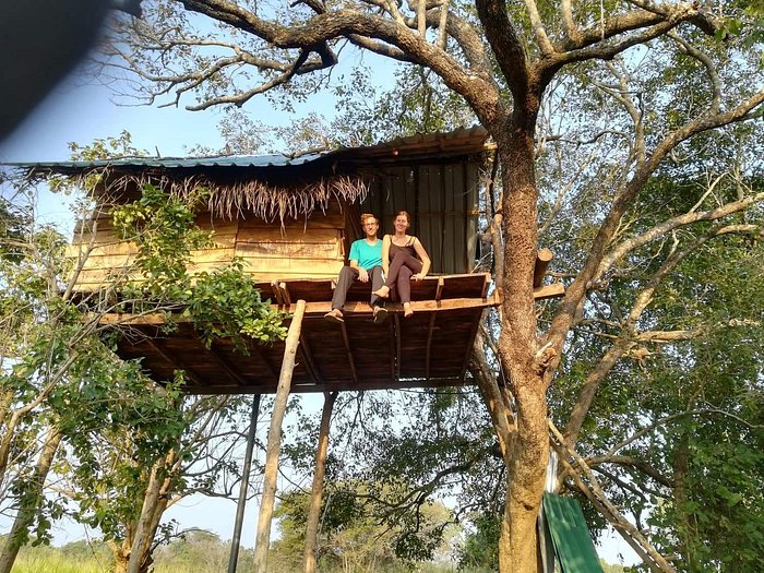 tree house