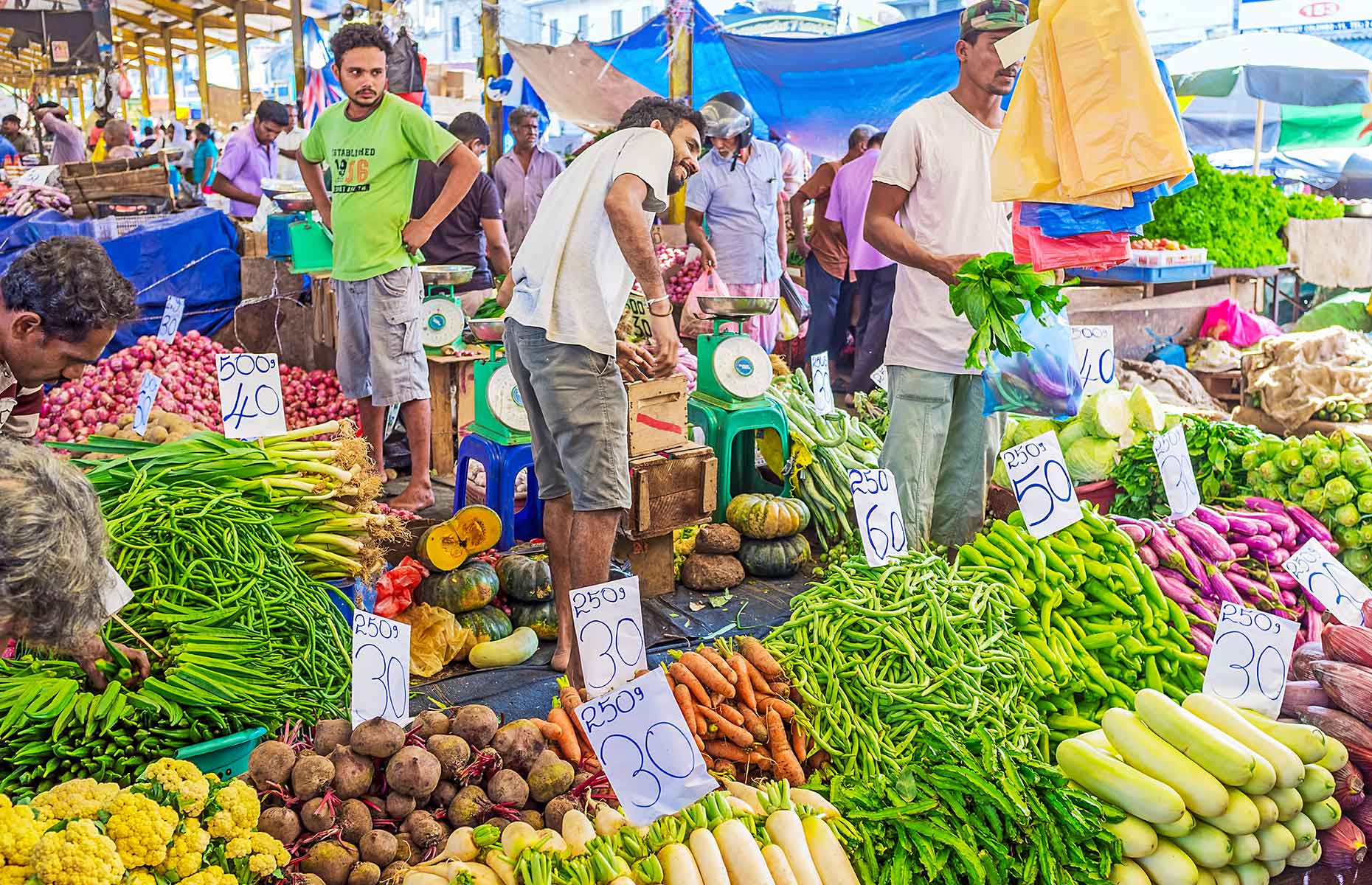 Local Markets