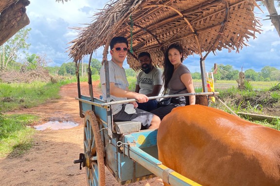 Bullock Cart Tours