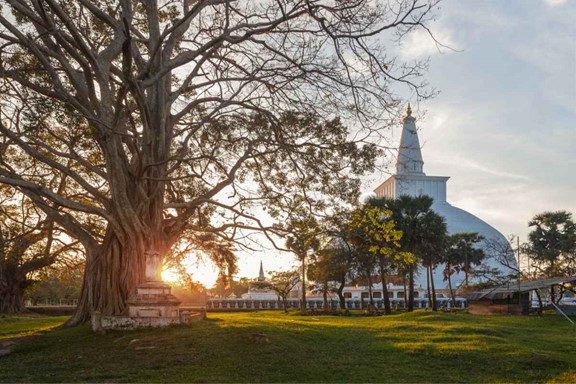 Explore the Ancient City Anuradhapura