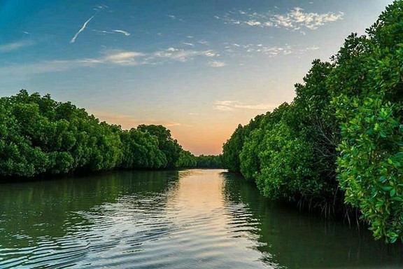 Madu River Safari