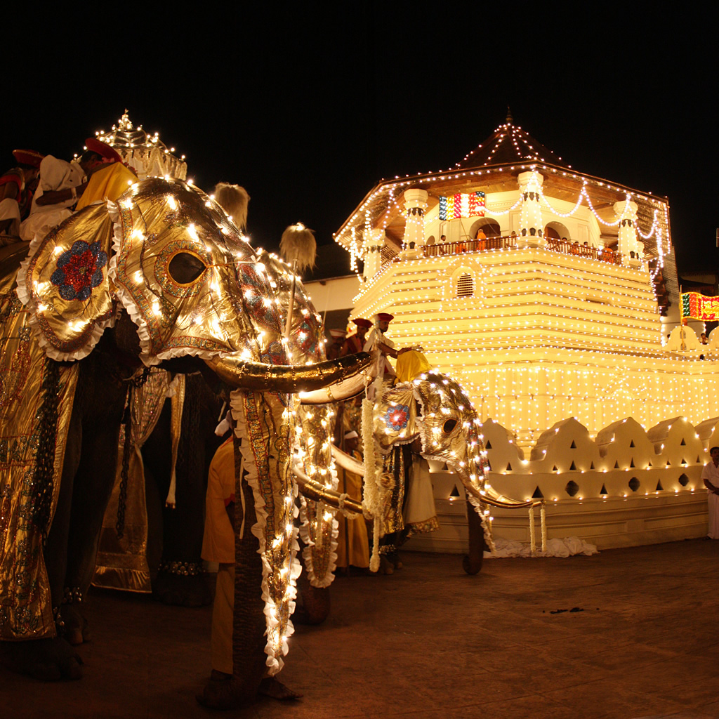 Experience the Splendor of Kandy Perahera