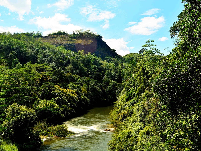 Kitulgala