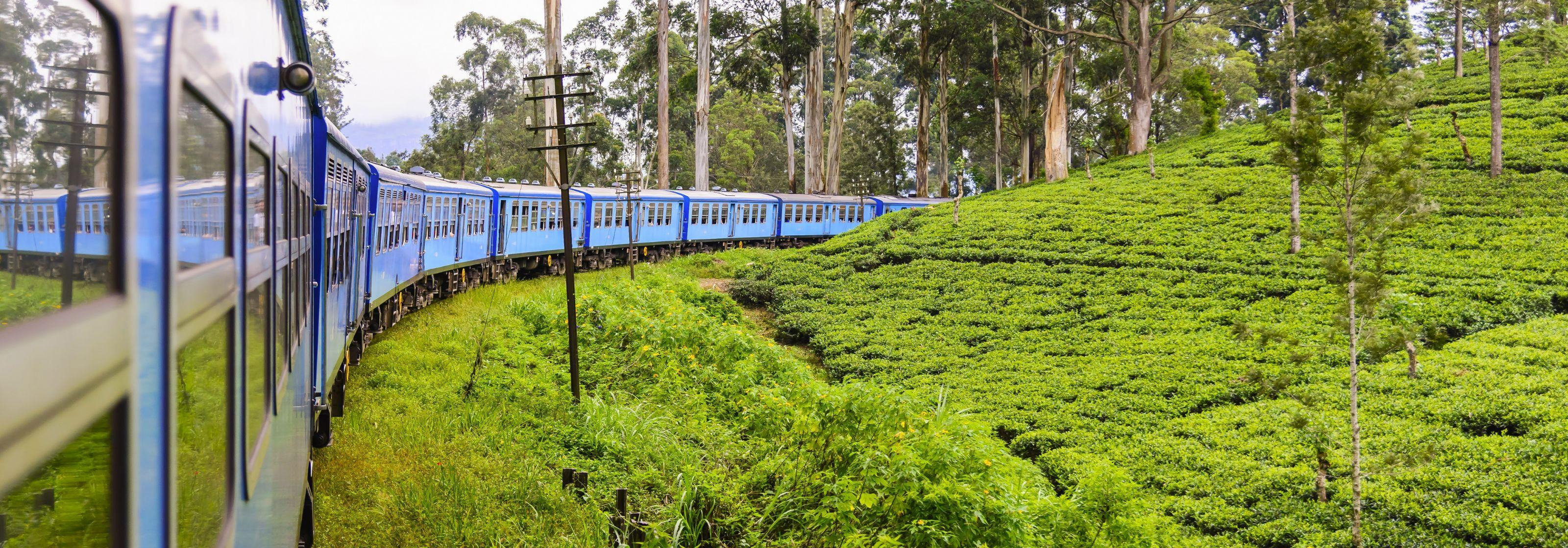 Nuwara Eliya In Sri Lanka