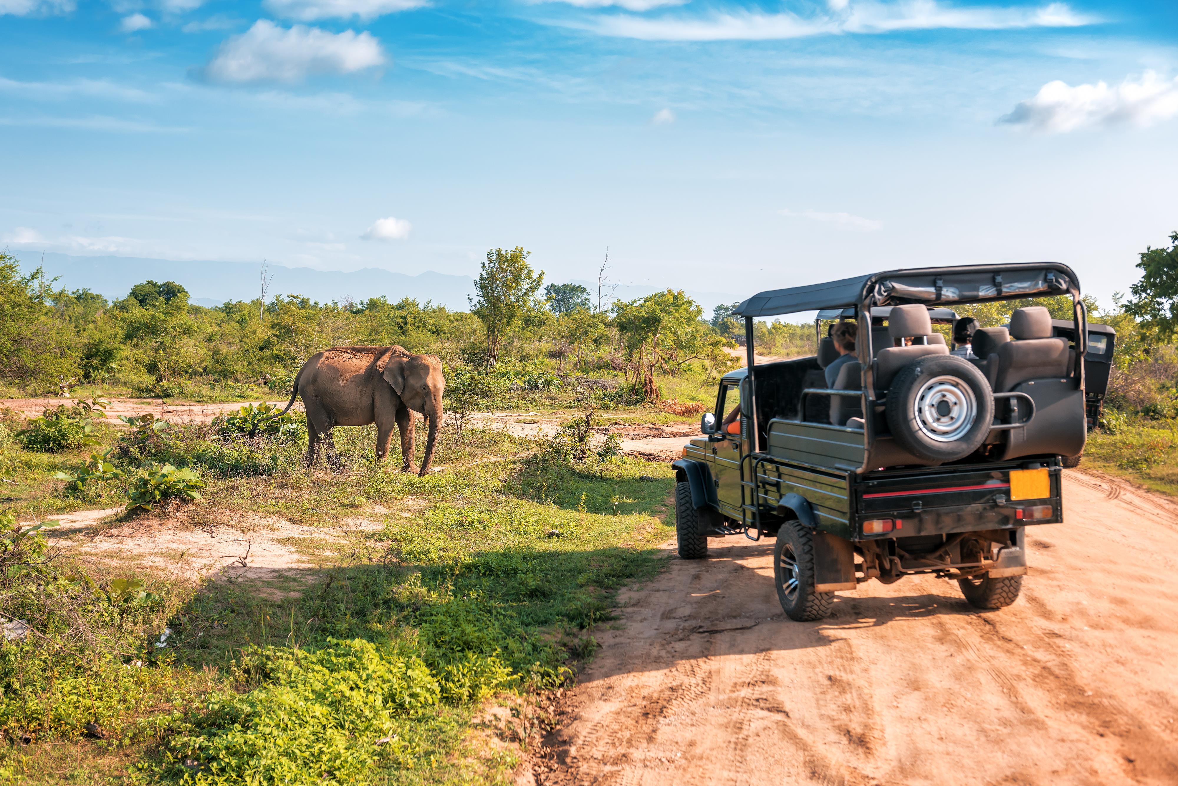 Serene Sri Lanka Retreat