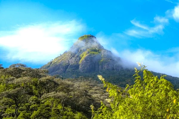 Adams Peak Festival