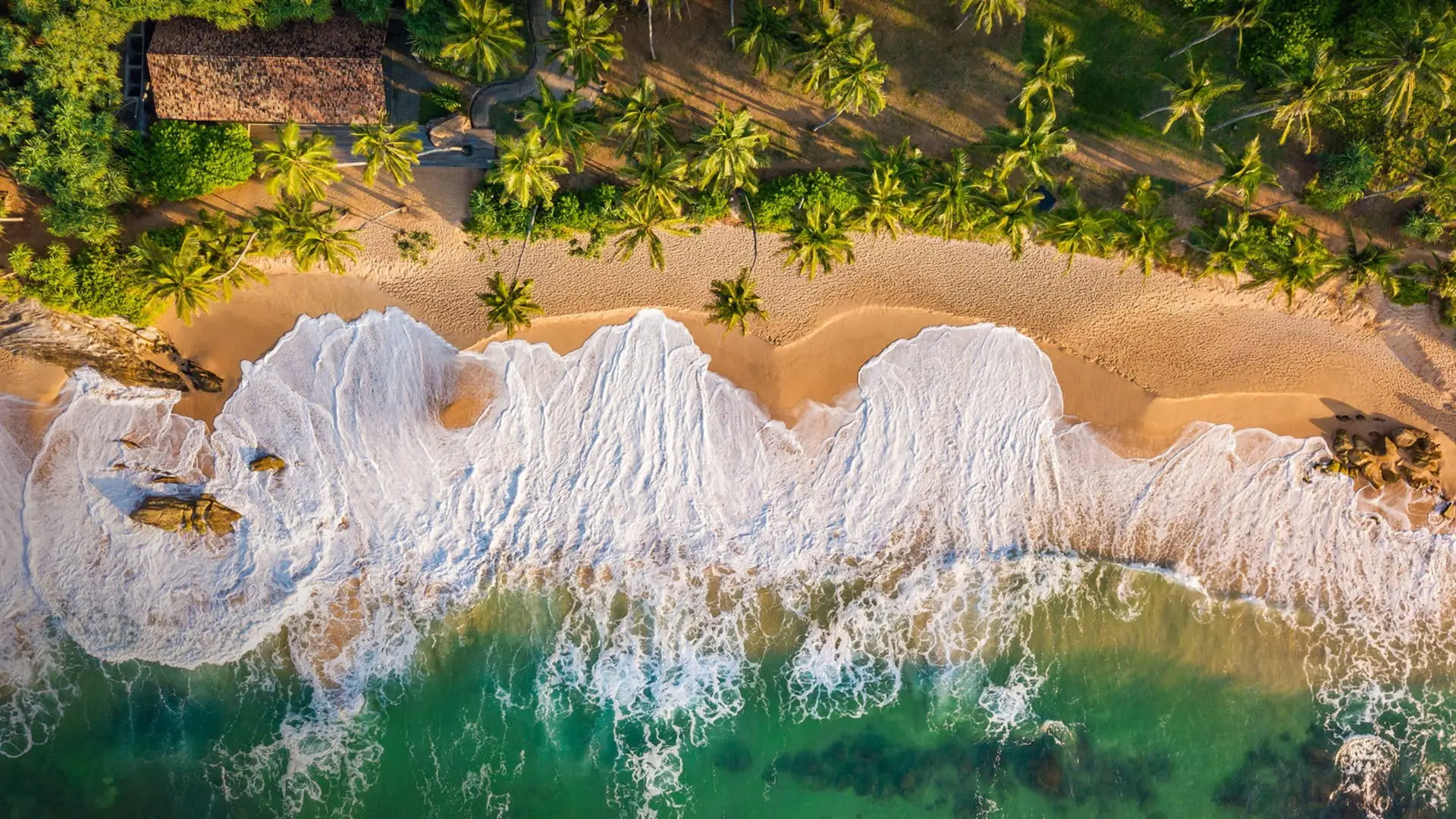 banner image