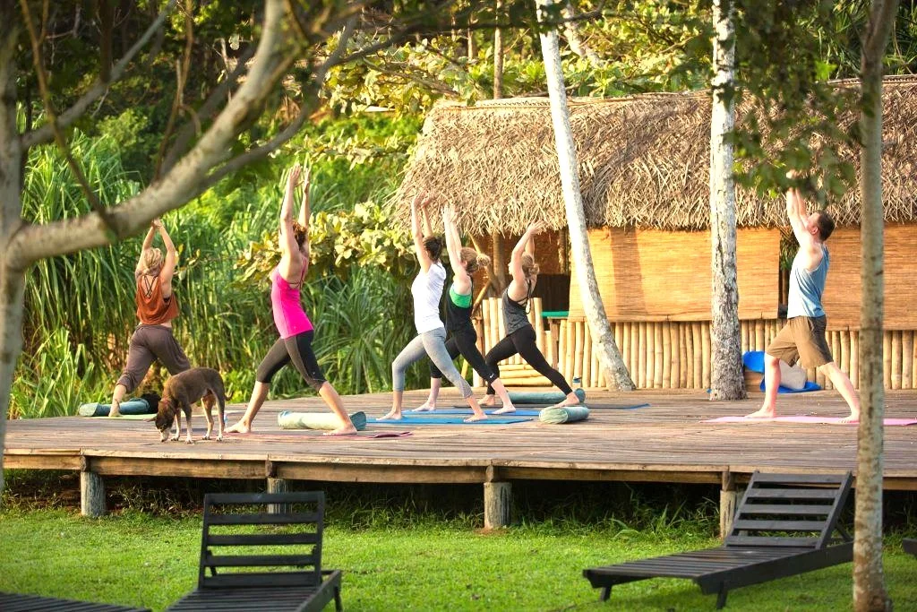 Wellness Holidays