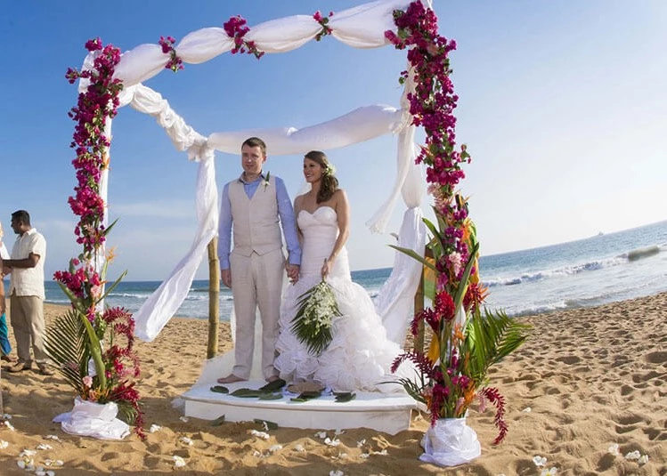 All Weddings