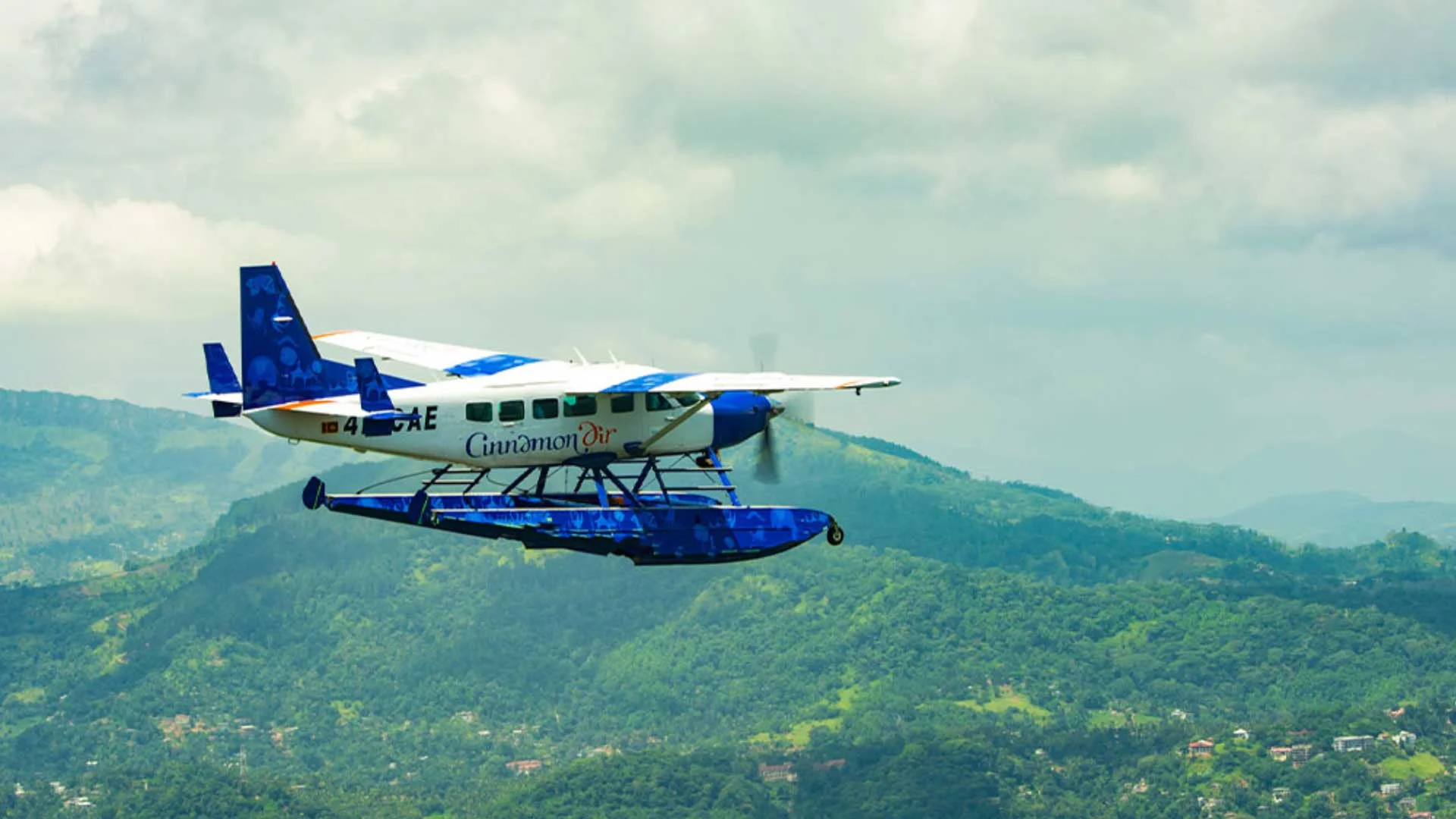 Domestic Flights