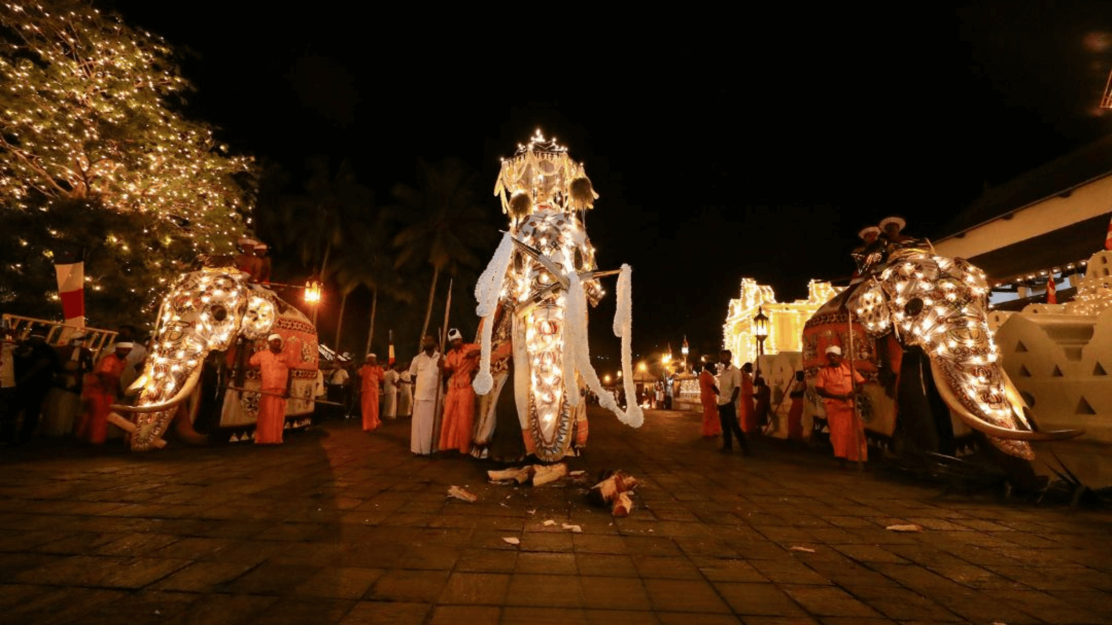 Kandy Esala Perahera Sri Lanka 2025: A Complete Guide with Sunway Holidays