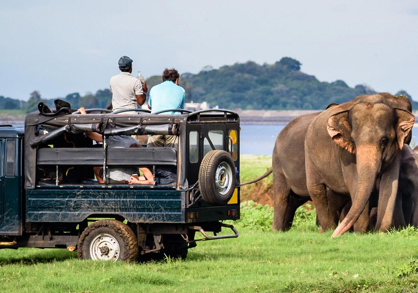 Top Wildlife Reserves in Sri Lanka